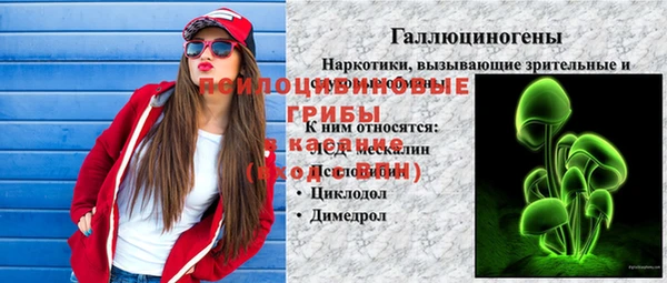 амф Осинники