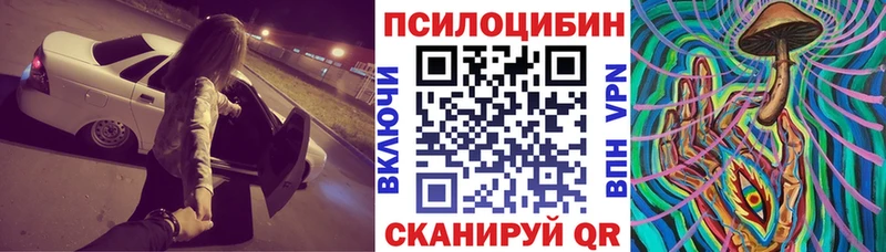 Псилоцибиновые грибы Psilocybe  Среднеколымск 